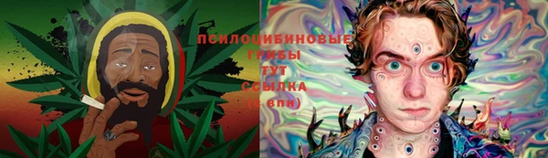 не бодяженный Бородино