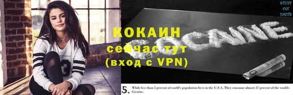 не бодяженный Бородино