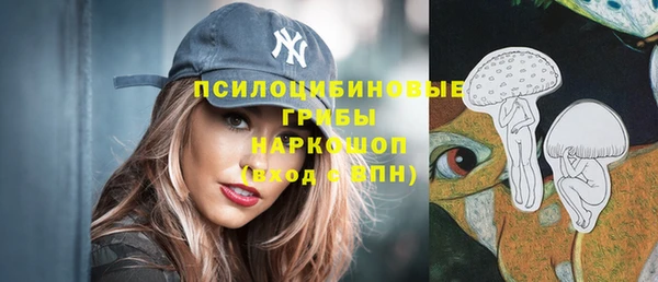 не бодяженный Бородино